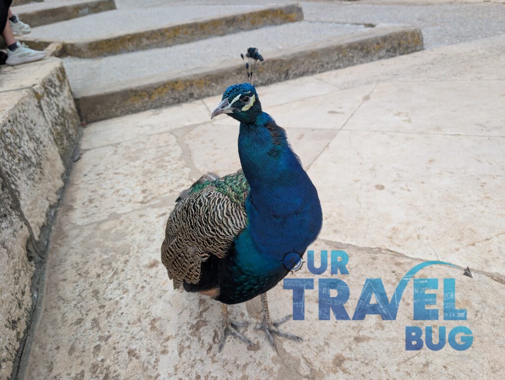 Lokrum Island -Dubrovnik