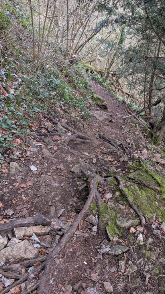 Eagles Nest Viewpoint walk